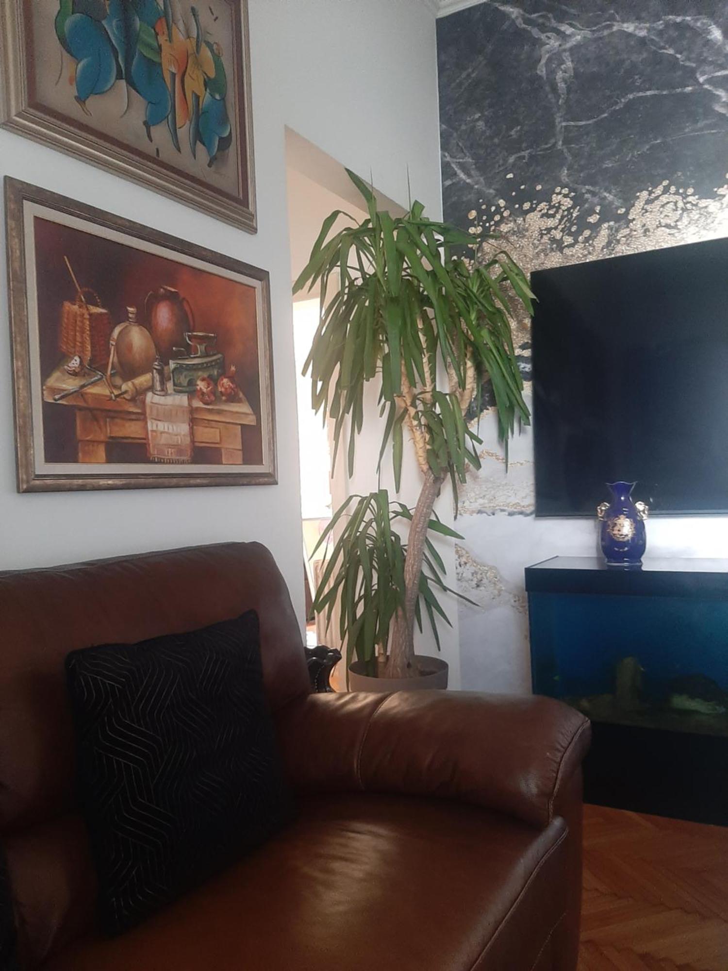 Stylish King Downtown Apartment Подгорица Екстериор снимка